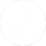 Globeroo WhatsApp for Business logo